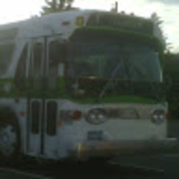 Meet your Posher, Cornelius - Picture 1 of 1